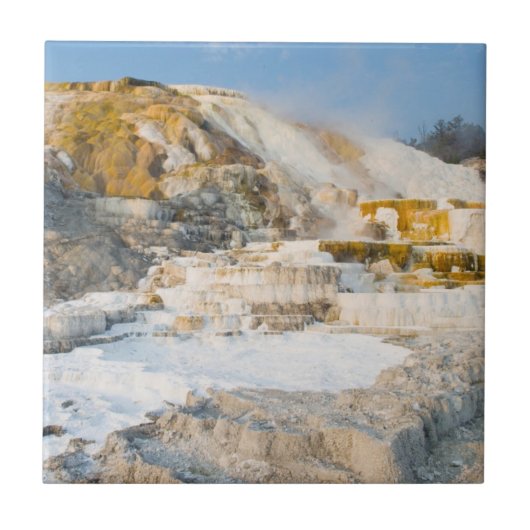 イエローストーン国立公園 タイル (正面)