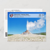 イエローストーン国立公園 – ホワイトドームガイザー ポストカード (正面/裏面)