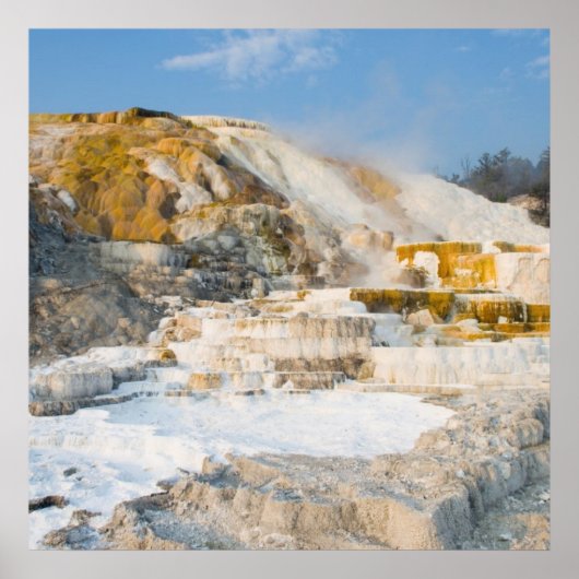 イエローストーン国立公園 ポスター (正面)