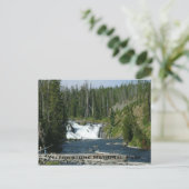 イエローストーン国立公園 ポストカード (スタンド正面)