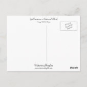 イエローストーン国立公園 ポストカード (裏面)