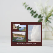 イエローストーン国立公園 ポストカード (スタンド正面)