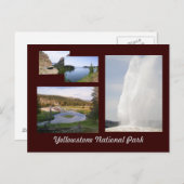 イエローストーン国立公園 ポストカード (正面/裏面)