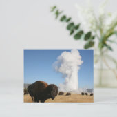 イエローストーン国立公園 ポストカード (スタンド正面)