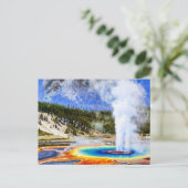 イエローストーン国立公園 ポストカード (スタンド正面)