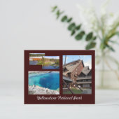 イエローストーン国立公園 ポストカード (スタンド正面)