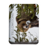 イエローストーン国立公園 マグネット (縦)