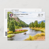 イエローストーン国立公園 – マディソンリバー ポストカード (正面/裏面)