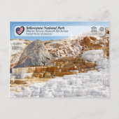 イエローストーン国立公園 – ミネルヴァテラス ポストカード (正面)