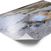 イエローストーン国立公園、ワイオミング州のシェル・スプリング フォトプリント            (角)