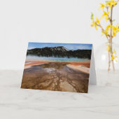 イエローストーン国立公園、壮大なプリズム カード (黄色い花)