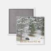 イエローストーン国立公園(WY) マグネット (正面/裏面)