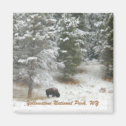 イエローストーン国立公園(WY) マグネット (正面)