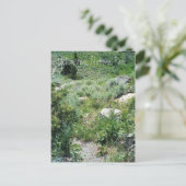 イエローストーン夏 ポストカード (スタンド正面)