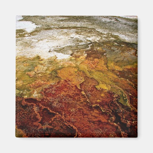 イエローストーン数々のの着色鉱床 マグネット (正面)