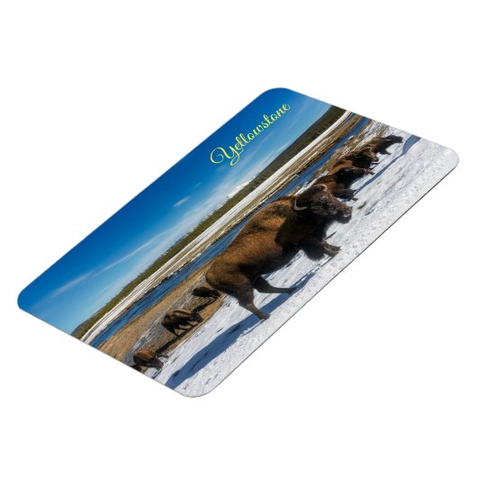 イエローストーン磁石 マグネット (左側)