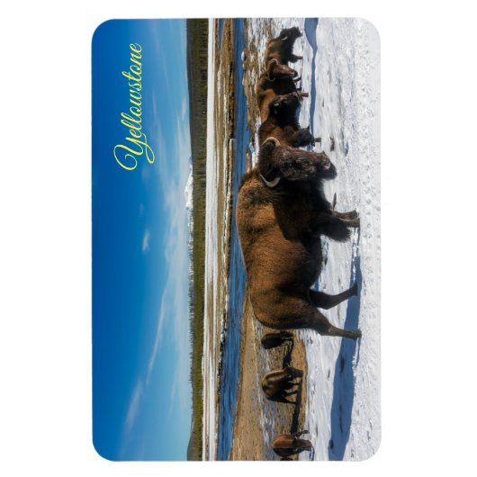 イエローストーン磁石 マグネット (縦)