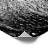 イエローストーン霜の降りたビソン ポスター (角)