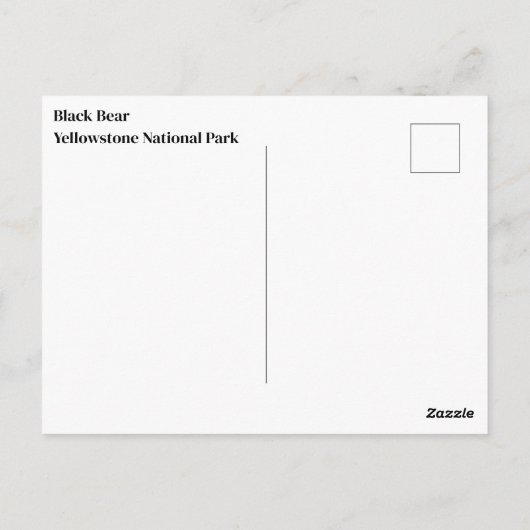 イエローストーン黒熊はがき ポストカード (裏面)