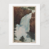 イエローストーン、イエローストーン川滝 ポストカード (正面)