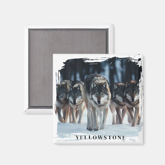 イエローストーン・ウォルフ マグネット (正面/裏面)
