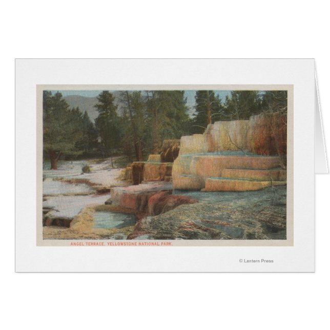 イエローストーン、エンジェルテラスのWYView (正面横)