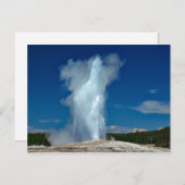 イエローストーン・オールド・レイド・ランドスケープ・フォト ポストカード (正面/裏面)