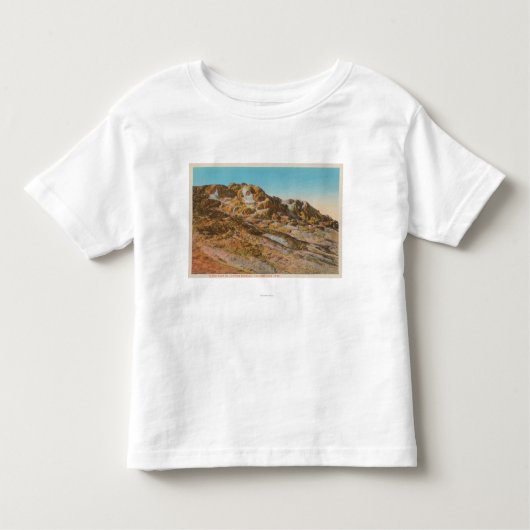 イエローストーン、ジュピター台地のWYView トドラーTシャツ (正面)
