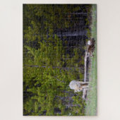 イエローストーン – 好奇心コヨーテ – 20x30 - 1014個。 ジグソーパズル (縦)