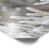 イエローストーン、松の凍っていコーンのクローズアップ フォトプリント (角)