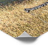 イエローストーン- American Bisonのポスター ポスター (角)