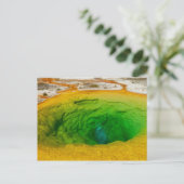 イエローストーン- Morning Glory Poolはがき ポストカード (スタンド正面)