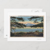 イエローストーン, WY -イエローストーン湖とコルター ポストカード (正面/裏面)