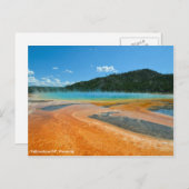 イエローストーンNPのグランド春 ポストカード (正面/裏面)