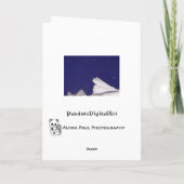 イエロースノークリスマスカード シーズンカード (裏面)