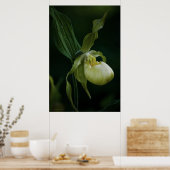 イエロースリッパプリント ポスター (キッチン)