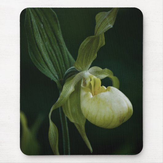 イエロースリッパマウスパッド マウスパッド (正面)