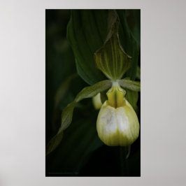 イエロースリッパ2プリント ポスター