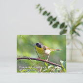 イエロースロートハガキ ポストカード (スタンド正面)