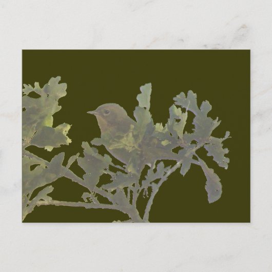 イエロースロートハガキ ポストカード (正面)