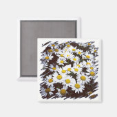 イエローセンターホワイトシャスタデイジー写真 マグネット (正面/裏面)