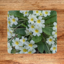 イエローセンター付きホワイトプリムローゼスフローラ