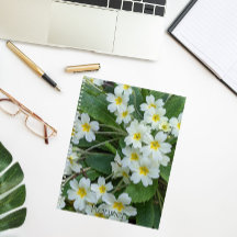 イエローセンター付きホワイトプリムローゼスフローラ