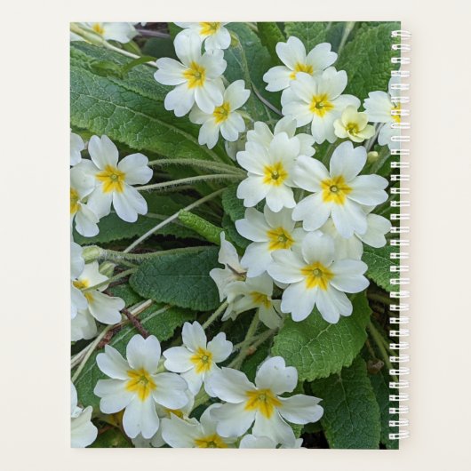 イエローセンター付きホワイトプリムローゼスフローラ プランナー手帳 (裏面)