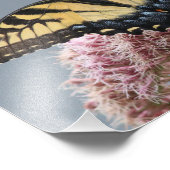 イエロータイガーアゲハチョウ蝶オンピンクの花 フォトプリント            (角)