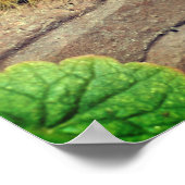 イエローダガーモスキャタピラ昆虫 ポスター (角)