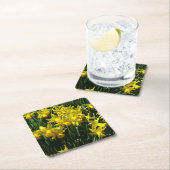 イエローダッフォジルスアイチーリー春の花 スクエアペーパーコースター (インサイチュ)