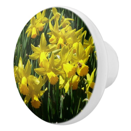 イエローダッフォジルスアイチーリー春の花 セラミックノブ (右)