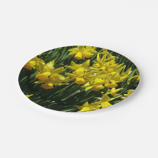 イエローダッフォジルスアイチーリー春の花 ペーパープレート (アングル)