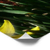 イエローダッフォジルスアイチーリー春の花 ポスター (コーナー)